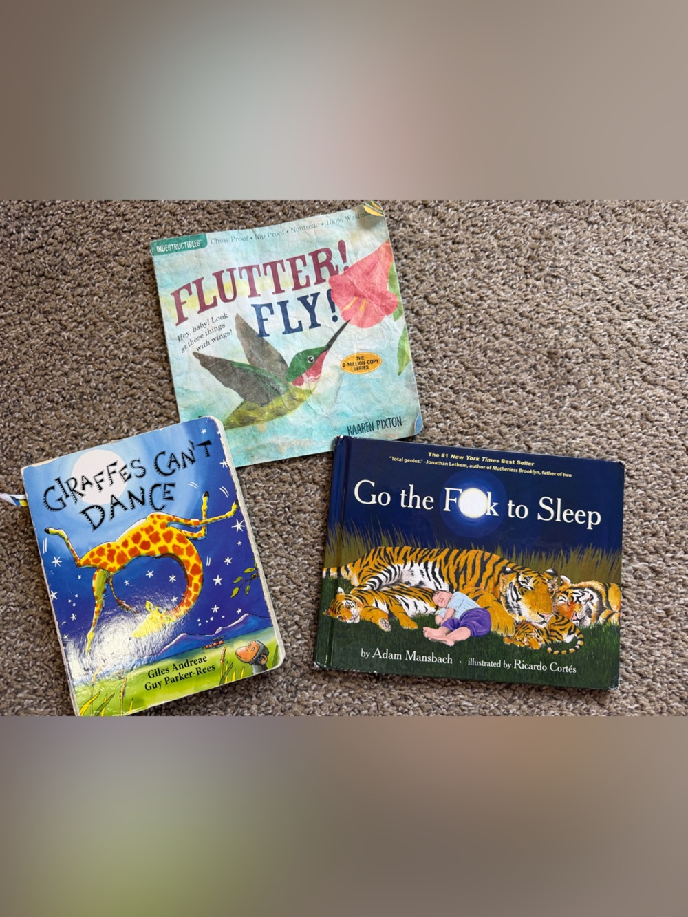 Pair of Colorful Children's Board Books - Giraffes Can't Dance & Flutter! Fly!